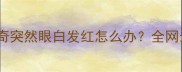 警惕哈士奇突然眼白发红怎么办全网最全应对指南
