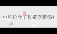 小狗拉肚子吃黄连素吗