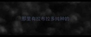 那里有拉布拉多纯种的