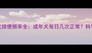 边境牧羊犬排便频率全成年犬每日几次正常科学养宠指南