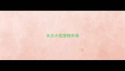 长沙大型宠物市场