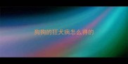 狗狗的狂犬病怎么得的