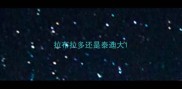 拉布拉多还是泰迪大