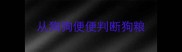 从狗狗便便判断狗粮