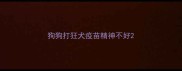 狗狗打狂犬疫苗精神不好