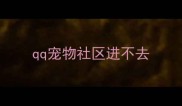 qq宠物社区进不去