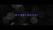狗子需要打那些疫苗