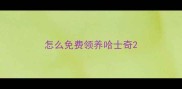 怎么免费领养哈士奇
