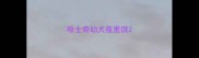 哈士奇幼犬夜里饿