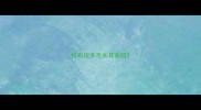 拉布拉多毛长耳朵短