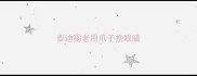 泰迪狗老用爪子挠眼睛