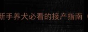 拉布拉多生产全流程新手养犬必看的接产指南附产前产后注意事项