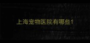 上海宠物医院有哪些