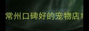 常州口碑好的宠物店