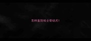 怎样鉴别哈士奇幼犬