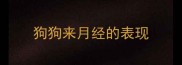 狗狗来月经的表现