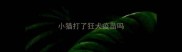 小猫打了狂犬疫苗吗