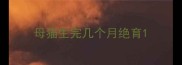 母猫生完几个月绝育