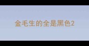 金毛生的全是黑色