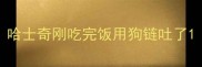 哈士奇刚吃完饭用狗链吐了