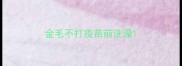 金毛不打疫苗前洗澡