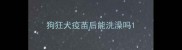 狗狂犬疫苗后能洗澡吗