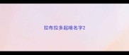 拉布拉多起啥名字