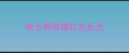 哈士奇眼睛红色反光