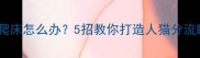 猫咪总爱爬床怎么办5招教你打造人猫分流睡眠区