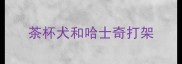 茶杯犬和哈士奇打架