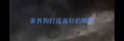 家养狗打疫苗针的期限