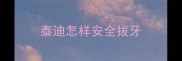 泰迪怎样安全拔牙