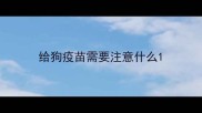 给狗疫苗需要注意什么