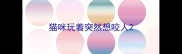 猫咪玩着突然想咬人