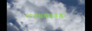 4个月拉布拉多高