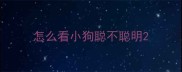怎么看小狗聪不聪明