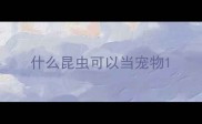 什么昆虫可以当宠物
