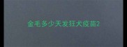 金毛多少天发狂犬疫苗