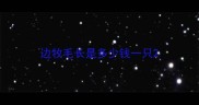 边牧毛长是多少钱一只