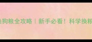 狗狗几个月换狗粮全攻略新手必看科学换粮这样做才对