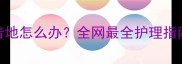小狗后腿不敢着地怎么办全网最全护理指南附真实案例