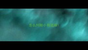 怎么判断小狗温顺