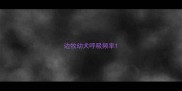 边牧幼犬呼吸频率