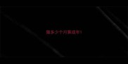 猫多少个月算成年