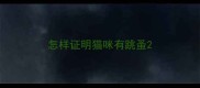 怎样证明猫咪有跳蚤