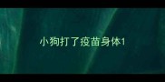 小狗打了疫苗身体