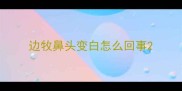 边牧鼻头变白怎么回事