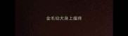 金毛幼犬身上瘙痒