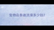宠物店泰迪洗澡多少钱