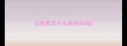 边牧喜欢什么样的环境